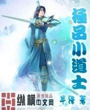 2024年新澳门天天开好彩大全已完本都市异能小说